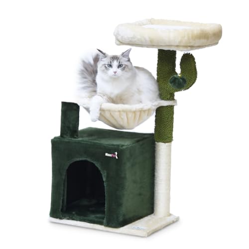 MaxxPet Kratzbaum - Katzenspielzeug Kaktus - Krabton - Katzenhaus - Katzenkratzbaum 3 Etagen - 2 Liegeplätze + Katzenhaus mit Extraspielzeug - 40x30x75cm - Grün von MaxxPet