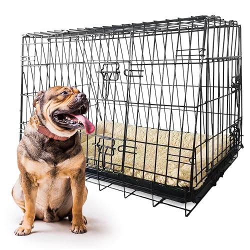 MaxxPet Metal Hundekäfig – Transportbox für Hunde – Hundekäfig mit 2 Türen – inkl. Decke – für den Innenbereich, Dog Crate Auto – Faltbarer Hundekäfig – 91 x 62 x 62 cm – Schwarz MaxxPet Metal Hundekäfig – Transportbox für Hunde – Hundekäfig mit 2 Türen – inkl. Decke – für den Innenbereich, Dog Crate Auto – Faltbarer Hundekäfig – 91 x 62 x 62 cm – Schwarz von MaxxPet