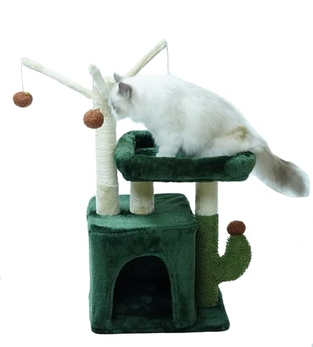 MaxxPet Kratzbaum - Katzenspielzeug Kaktus - Kratztonne - Katzenhaus - Katzenkratzbaum 3 Etagen - 1 Liegeplatz + Katzenhaus mit zusätzlichen Spielzeugen - 40x30x75cm - Grün von MaxxTools bv