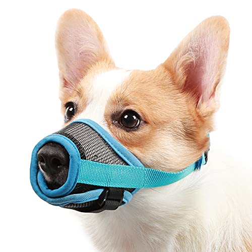 Mayerzon Maulkorb für Hunde, mit verstellbarem Klettverschluss, um Beißen, Bellen und Kauen zu verhindern, Luftnetz, atmungsaktiv, für kleine, mittelgroße und große Hunde (Blue, S+) von Mayerzon