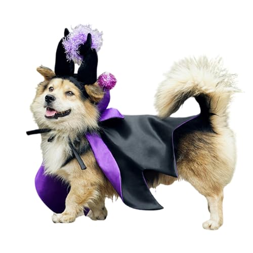 Halloween-Kostüm, Katzenumhang, Hexenhut, verstellbar, Halloween-Hundekleidung, Hexenkostüm, Zauberer-Outfit, bequemes Halloween-Hundekostüm für Halloween von Mbiyhgta