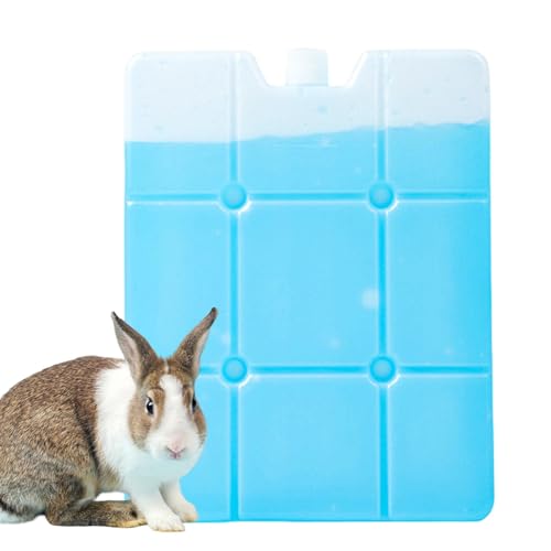 Kleintier-Eisbeutel – Kältetherapie-Gel-Pad, wiederverwendbarer Eisbeutel für kleine Haustiere, Meerschweinchen-Kältepackung, tragbares Paiin-Entlastungs-Eisbeutel für Hamster, Meerschweinchen, heißes von Mbiyhgta