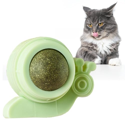Mbiyhgta Katzenwandkugeln – Essbares Katzenspielzeug zur Wandbefestigung, Katzen-Snack-Kugel, Schneckenform, Essbare Kugeln für Katzen, Wandmontage, Kauspielzeug Mbiyhgta Katzenwandkugeln – Essbares Katzenspielzeug zur Wandbefestigung, Katzen-Snack-Kugel, Schneckenform, Essbare Kugeln für Katzen, Wandmontage, Kauspielzeug von Mbiyhgta