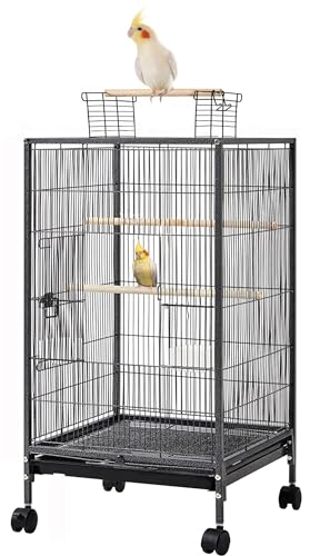 New offen Play Top Bird für kleine Papagei Vogel Schmiedeeisen Käfig mit Metall Samen Guard und Abnehmbarer Rolling standblack Vein von Mcage