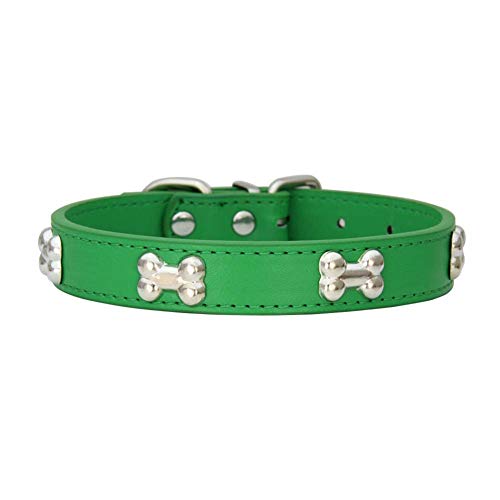 Mdurian Echtes Leder Metallknochen Nieten Hundehalsband Sicheres und bequemes verstellbares Halsband für kleine mittelgroße Hunde (XS, Grün) von Mdurian