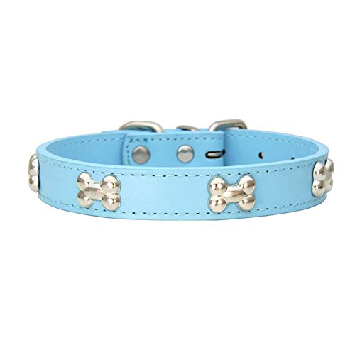 Mdurian Echtes Leder Metallknochen besetztes Hundehalsband Sicheres und bequemes verstellbares Halsband für kleine mittelgroße Hunde (S, Hellblau) von Mdurian