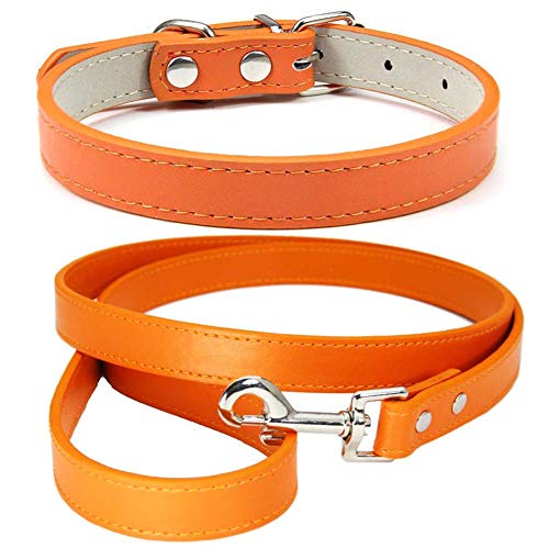 Mdurian Echtleder Leine Combo Set Einfarbiges Hundehalsband Sicher & Bequem Verstellbare Halsbänder für kleine, mittlere Hunde (Orange, XXS) von Mdurian