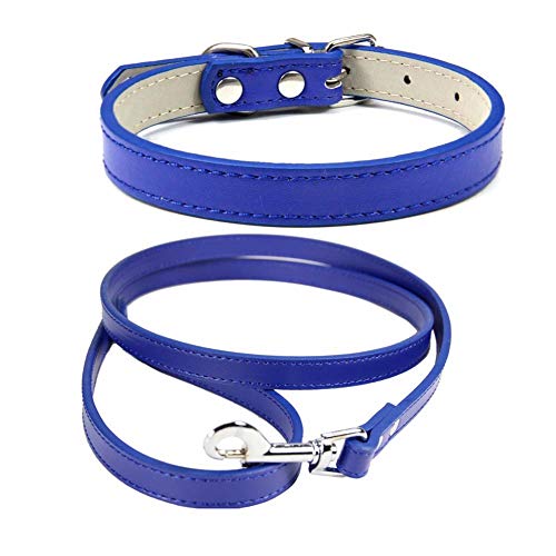 Mdurian Echtleder Leine Combo Set Einfarbiges Hundehalsband Sicher und bequem Verstellbare Halsbänder für kleine, mittlere Hunde (Königsblau, L) von Mdurian