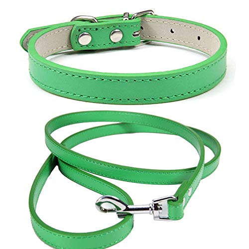 Mdurian Echtleder Leine Combo Set Einfarbiges Hundehalsband Sicher und bequem Verstellbare Halsbänder für kleine, mittlere Hunde (grün, XS) von Mdurian