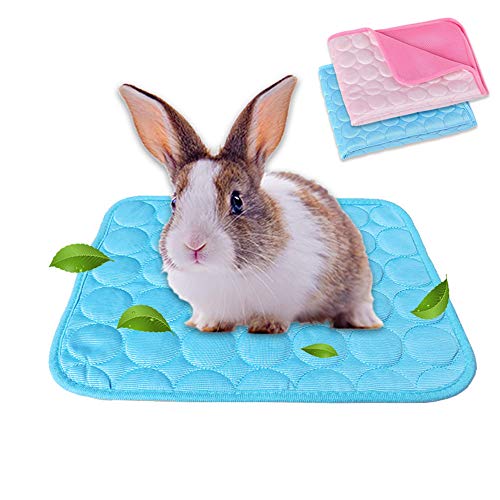 Meerschweinchenbett, Hasenbett für den Sommer, Kühlmatte für Kaninchen, Meerschweinchen, Chinchillas, waschbar, atmungsaktiv, Eisseide (Blau + Rosa, Größe S: 24,9 x 30 cm), 2 Stück von MeFfee