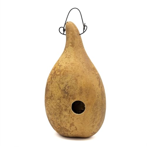 Unfinished Dried Gourd Birdhouse Bungalo von Meadowbrooke Gourds