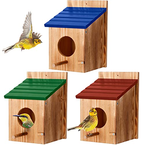 Meanplan Vogelhäuser aus Holz für den Außenbereich, Vogelhaus mit Stange, Holz, zum Aufhängen, für den Außenbereich, kleiner Vogelnest, für Finken, Blauvogel, Kardinale, Kolibri, Gartenbarsch, Haus von Meanplan