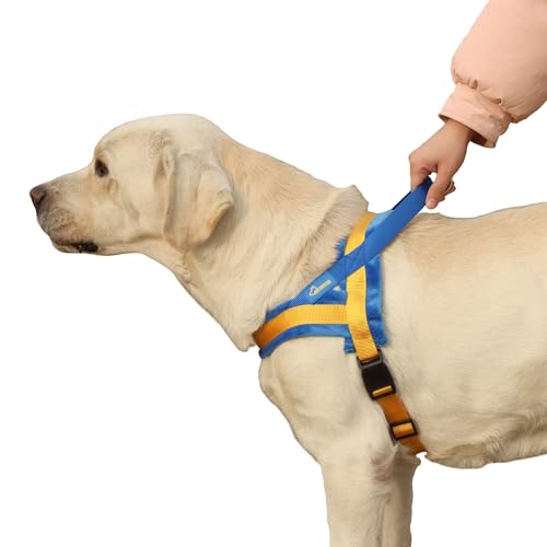 Mearrcgo No Pull Hundegeschirr, Anti-Zug mit Griff, leicht zu trainieren und zu gehen für kleine, mittelgroße und große Hunde (XL, Blau/Gelb) von Mearrcgo