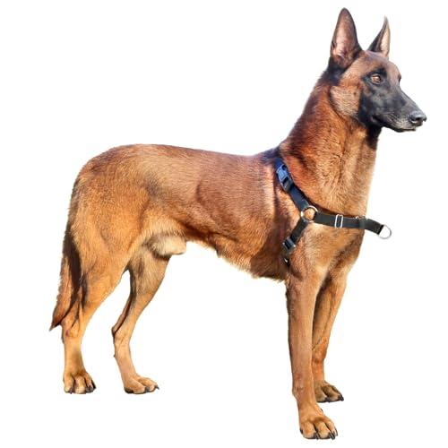 Mearrcgo No Pull Hundegeschirr, leicht zu kontrollierendes Walking Geschirr für kleine, mittelgroße und große Hunde (XL, Schwarz) von Mearrcgo