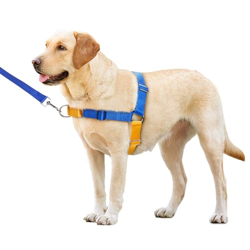 Mearrcgo No Pull Hundegeschirr mit Hundeleine, leicht zu kontrollieren, Walking-Geschirr für kleine, mittelgroße und große Hunde (L, Blau/Gelb) von Mearrcgo