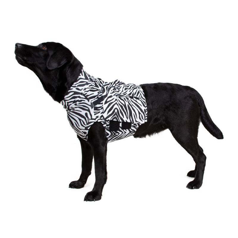 Medical Pet Shirt Top Shirt Zebraprint - M von Medical Pet Shirt