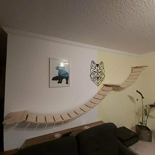 Medikratz Komplett-Set Katzen Hängebrücke; Große Katzen Kletterwand mit Wandpodesten auch für große Katzen geeignet (150cm + 150cm, Natur) von Medikratz