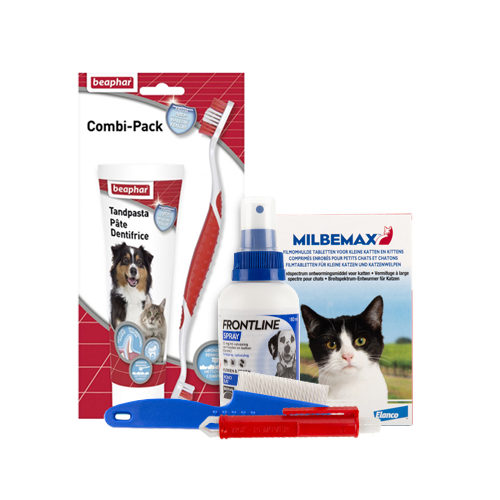 Medpets Kitten-Paket - 0,5 bis 1 kg von Medpets