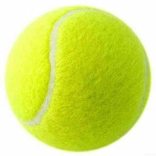 Tennisball-Spielzeug für Hunde, entwickelt für hohe Sprungleistung bei aktivem Spielen und Training von MeevrgR