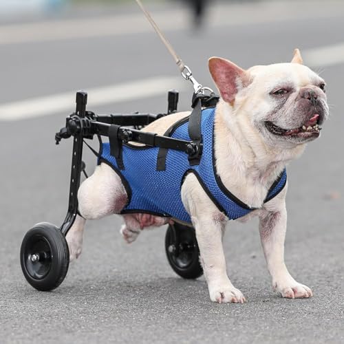 MegLob Behinderte Hundenkeln, Hilfsträger Für Ältere Hunde, Hilfskarren Für Hunde Mit Begrenzter Mobilität, Haustier -Hundetoller,XS von MegLob