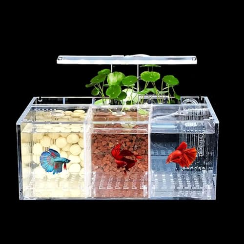 MegLob Desktop -Acrylaquarium, Professioneller Betta -Fischtank, Kleiner Goldfischtank Mit LED -Licht Und Fütterungsloch, Modernes Batta -Fischtank -Kit Mit Wasserpumpe, Clear Betta Fischschale,A von MegLob