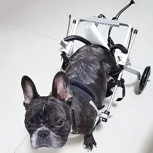 MegLob Einstellbarer Hundewagen, Assistierender Rollstuhlwagen Mit Heckbeinunterstützung Für Die Rehabilitation, Geeignet Für Hunde Mit Begrenzter Mobilität,M von MegLob