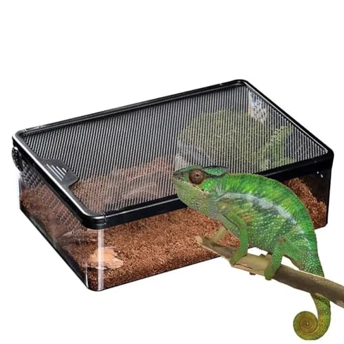 MegLob Flat Reptile PC -Fütterungsbox, Reptilien -Terrarium Zum Klettern Von Haustier, Reptilienzüchter, 32*22*10 Cm, Reptilienraum Zum Stapeln, Amphibienpanzer Für Starter, Schlangenzuchtbehälter von MegLob