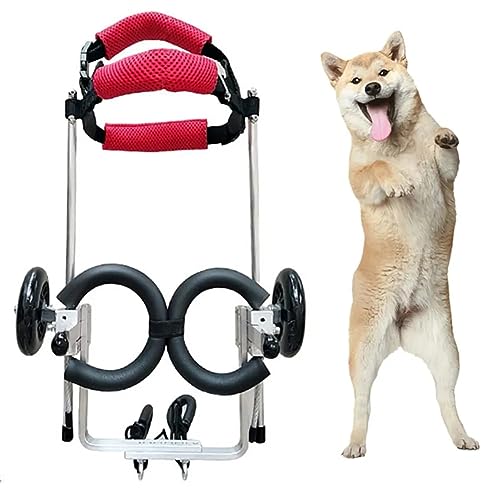 MegLob Hunde Hinterbein Rollstuhl, Kleiner Rehabilitationshundwagen Mit Rädern, Beinrehabilitation Haustier -Wanderwerkzeug, Geeignet Für Behinderte Und Ältere Hunde,L von MegLob