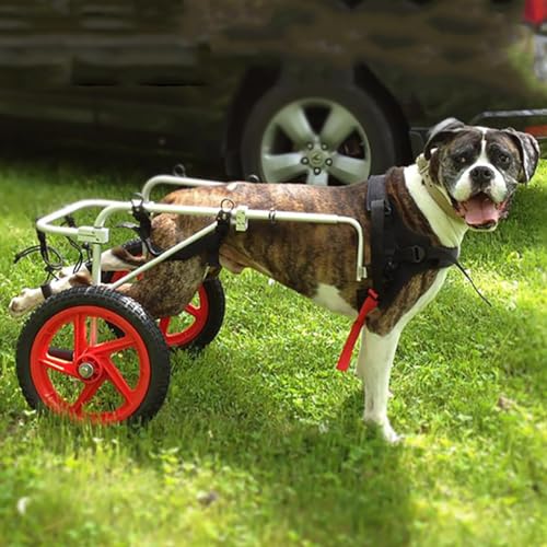 MegLob Hunderollstuhl, Petrosthaar Mit Behinderten Hinterbeinstütze, Verstellbarer Hundewagen/Rollstuhl, Geeignet Für Mittelgroße Und Große Hunde von MegLob