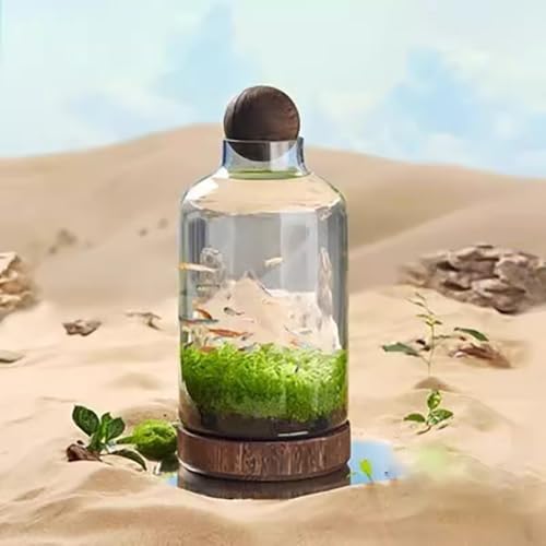 MegLob Kampffisch-Aquarium, Glas-Kampffischschale Mit Holzsockel, Mikro-Landschaftsfischaquarium, 2-In-1-Blumenvase Aus Glas, Modernes Kampffischbecken Zur Tischaufstellung,M MegLob Kampffisch-Aquarium, Glas-Kampffischschale Mit Holzsockel, Mikro-Landschaftsfischaquarium, 2-In-1-Blumenvase Aus Glas, Modernes Kampffischbecken Zur Tischaufstellung,M von MegLob