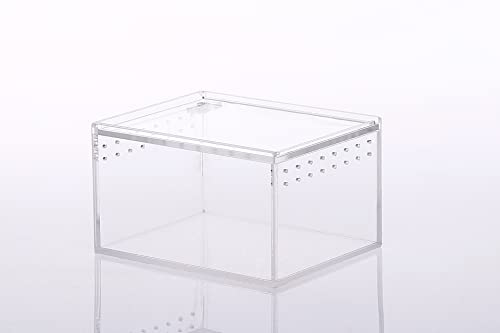 MegLob Reptilien -Fütterungsbox, Acryl -Reptilien -Terrarium, Amphibien -Fütterungsbox, Transparentes HD -Reptilien -Habitat -Tank, Klares Gehäuse Für Insekten, Schnecken, Gecko, Tarantel,S von MegLob