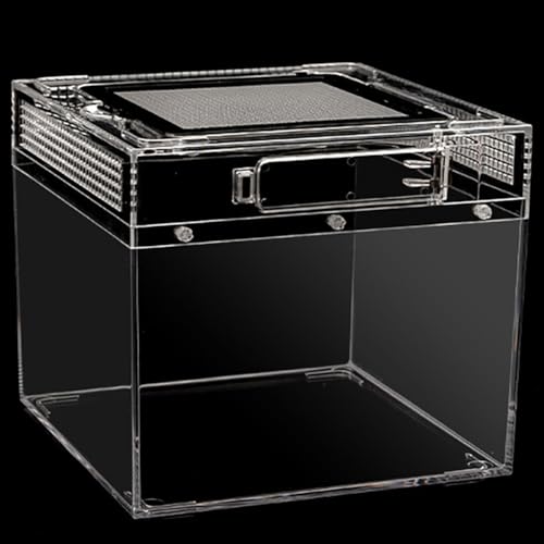 MegLob Reptilien -PC -Terrarium, Anti Breakage Reptile Breeding Box, Amphibian Habitat Retainer, Reserviertes Kabelhafen, Transparentes Gehäuse Für Tarantel, Klettern Von Haustierbehältern,Xs von MegLob