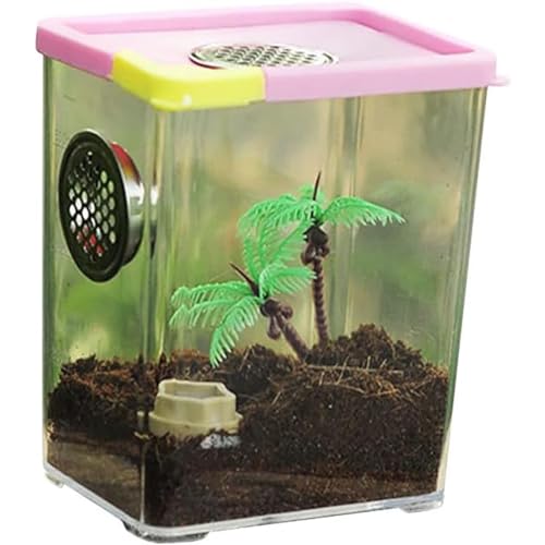 MegLob Reptilienwachstumspanzer, Reptilien -Terrarium -Vivarium Für Kleine Insekten, Reptilien -Fütterungsbox Für Sprungspinne, Skorpion, Mantis, Klettern Aus Haustierbehälter,M von MegLob