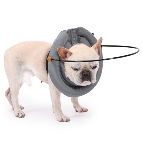 Halo-Führungsgerät für blinde Hunde, Anti-Kollisions-Ring, Schutzhalsband, bequem, leicht, für blinde Hunde, sicheres Zubehör, Größe XL von MeiAOBest