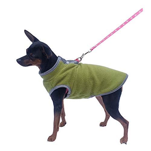 MeiAOBest Haustier Kleidung, Hund kaltes Wetter Mantel Warme Hund Jumper Weiche Fleece Weste Jacke Pullover Kostüm für Welpen Kleine Hunde_Grün(XS) von MeiAOBest