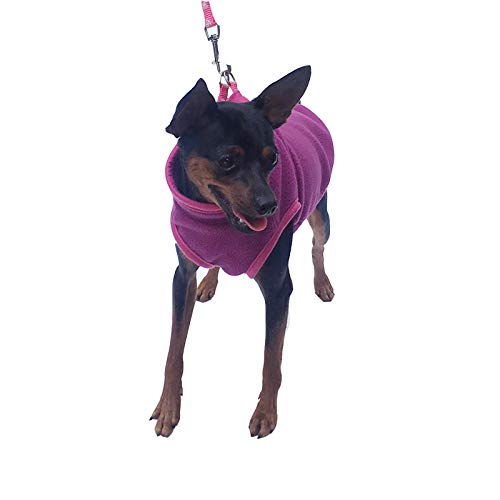Haustier Kleidung, Hund kaltes Wetter Mantel Warme Hund Jumper Weiche Fleece Weste Jacke Pullover Kostüm für Welpen Kleine Hunde_Lila(XL) von MeiAOBest