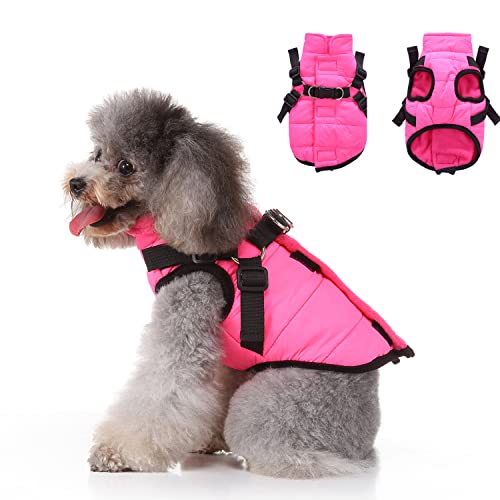Hundebekleidung mit Geschirr, warme Winterjacke mit Reißverschluss, winddichter Hundemantel, Wintermäntel aus Baumwolle für kleine, mittelgroße Hunde, Hot Pink von MeiAOBest