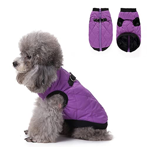 Hundebekleidung mit Geschirr, warme Winterjacke mit Reißverschluss, winddichter Hundemantel, Wintermäntel aus Baumwolle für kleine, mittelgroße Hunde (lila) von MeiAOBest