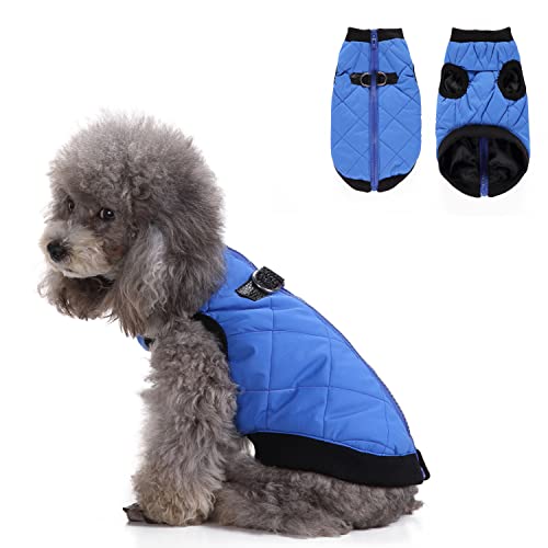 Hundebekleidung mit Geschirr, warme Winterjacke mit Reißverschluss, winddichter Hundemantel, Wintermantel aus Baumwolle für kleine, mittelgroße Hunde, Größe L (blau) von MeiAOBest
