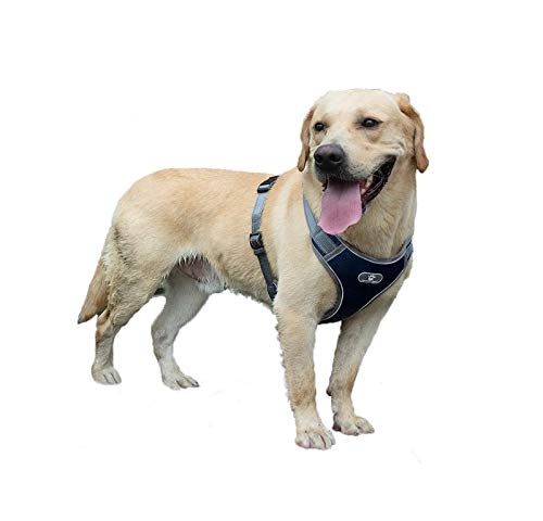 Hundegeschirr, verstellbar, kein Ziehen, ausbruchsicher, atmungsaktiv, Oxford-Gewebe, reflektierend, für kleine Hunde, mittelgroße Hunde, große Hunde (XL, Marineblau) von MeiAOBest