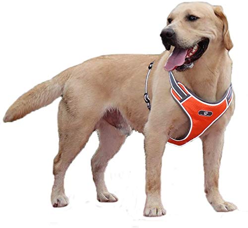 Hundegeschirr, verstellbar, kein Ziehen, ausbruchsicher, atmungsaktiv, Oxford-Gewebe, reflektierend, für mittelgroße Hunde, große Hunde (XL, Orange) von MeiAOBest