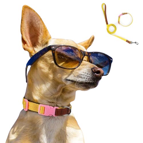 Hundehalsband-Set, bequem, verstellbar, Nylon, mit D-Ring für kleine, mittelgroße Hunde, Größe M, Gelb von MeiAOBest