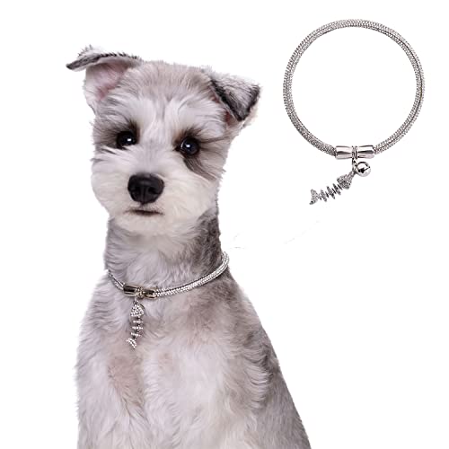 Hundehalsband mit Glocke und niedlicher Erkennung, glänzende Kristall-Strass-Hundehalsband, Designer-Halsband für Katzen, Welpen, kleine, mittelgroße Hunde, weißes Halsband (30 cm) von MeiAOBest