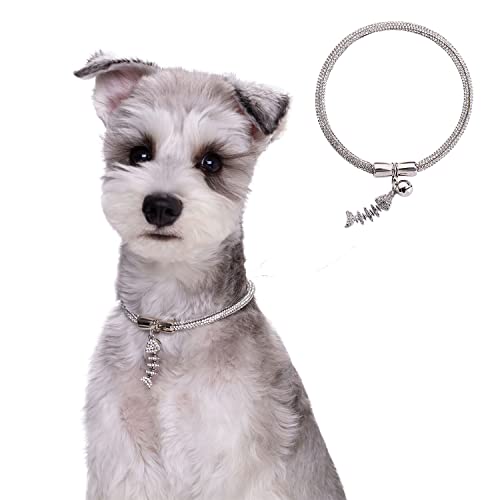 Hundehalsband mit Glocke und niedlicher Erkennung, glänzende Kristall-Strass-Hundehalsband, Designer-Halsband für Katzen, Welpen, kleine, mittelgroße Hunde, weißes Halsband (40 cm) von MeiAOBest