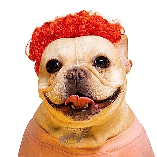 Lustige Cosplay-Perücke für Hunde und Katzen, verstellbare Halloween-Perücke, lustige Kopfbedeckung, Spielzeug für Katzen, kleine, mittelgroße und große Hunde, rotes lockiges Haar von MeiAOBest