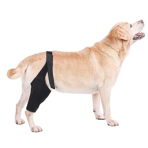 MeiAOBest Ellenbogenbandage für Hunde, Ellenbogen- und Schulterstütze, Ellenbogen-Hygrom, Dysplasie, Arthrose, Ellenbogenschwielen, Druckstellen und Schulterluxation, Größe S von MeiAOBest