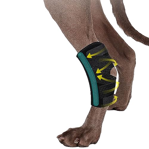 MeiAOBest Hundebeinbandagen für Hinterbein, Hundehockgelenkbandage mit Zwei Metallfedereinsätzen, Hundehockschiene mit Frakturen, Wundheilung, Verstauchungen und Hundearthritis_L/XL von MeiAOBest