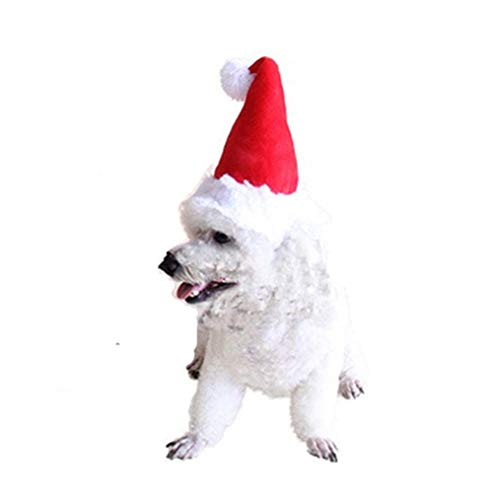 Mateju Haustier Hunde Katze Lieferungen Weihnachten Kopfschmuck Groß Mittelgroßer Kleiner Hund Party Bekleidung Zubehör Rote Weihnachtsmütze Weihnachten Hat Haustier Perücke Hüte (S) von Meiju