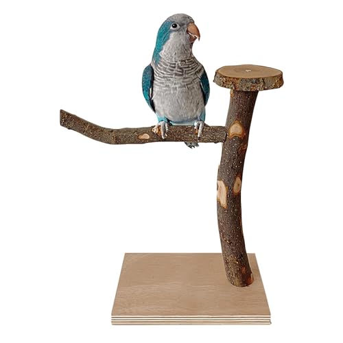 Meindin Vogel stehendes Spielzeug – Papageienspielzeug aus Holz zum Kauen | Vogelkauspielzeug mit stabiler Standbasis für Nymphensittiche, Lovebirds, Sittiche, mittelgroße Papageien, Wellensittiche von Meindin