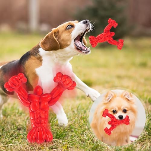 Unzerstörbares Hundespielzeug für große Hunde, aggressive Kauer, Kauspielzeug für aggressive Kauer, robustes Hundespielzeug für aggressive Kauer, große Rassen, langlebiges Hundespielzeug, robustes von Meitianfse